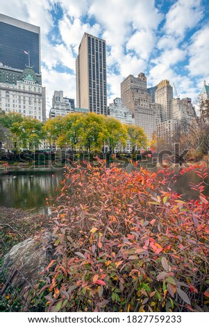 At he lake in Central Park, New York City, Manhattan in late autumn