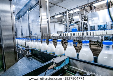 Milk - dairy - production at factory. White bottles with going through conveyor line Royalty-Free Stock Photo #1827804776