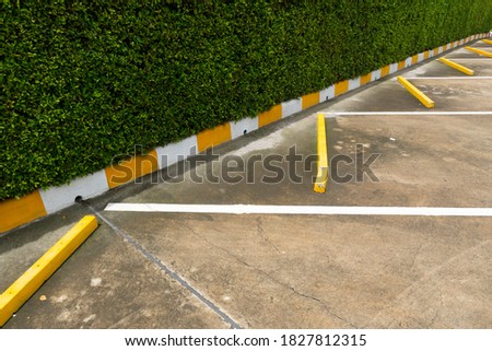 Yellow and white parking lot with a tall hedge wall