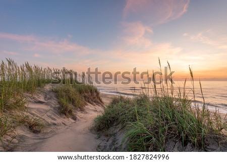 A picture sand dunes covered in marram grass during a beautiful sunrise in the Outer Banks, North Carolina.  Royalty-Free Stock Photo #1827824996