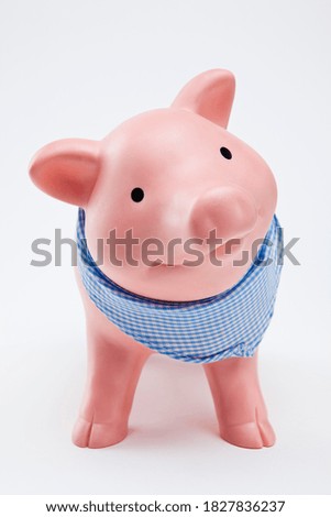 close-up picture of piggy bank