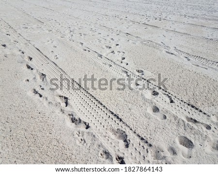 tire tracks and foot prints on combed beach