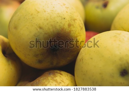close-up of fresh green apples
