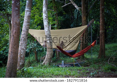 tent and a hammock in the forest with monkeys