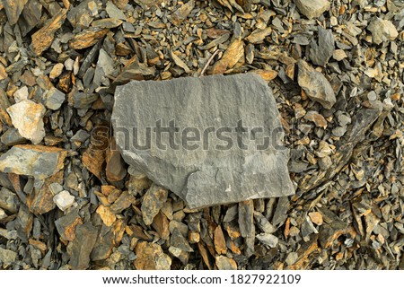 Gray sandstone sample. Rock hand speciment. Royalty-Free Stock Photo #1827922109