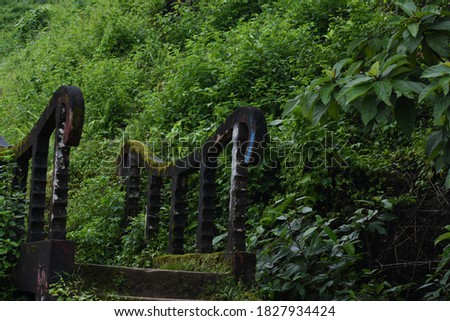 Vintage stairs at wild forest - Concept background photography