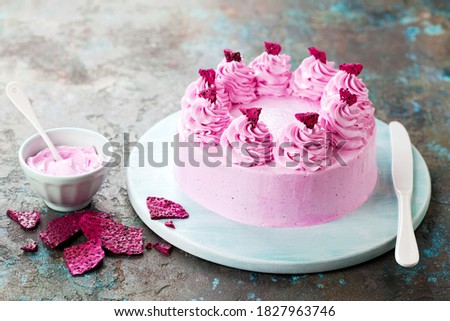 Chocolate cake with freeze dried dragon fruit powder cream and pitahaya chips, selective focus