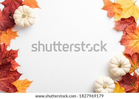 Autumn frame. Colorful maple leaves and pumpkins on white background. Flat lay, top view, copy space. Autumn fall, harvest, thanksgiving concept.
