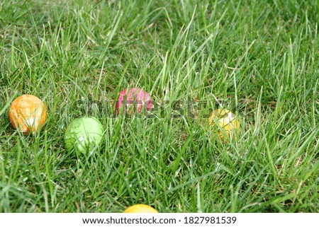 colored chicken eggs, eggs, lying in the grass, Easter, close-up, greeting card with space for your own text,