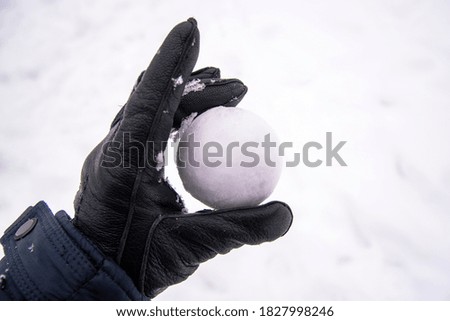Snowball in hand. Snowball ready for takeoff