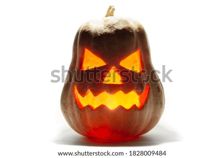 halloween pumpkin isolated on a white background