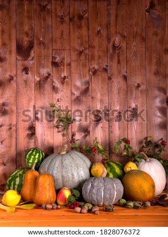 Still life of the autumn harvest of pumpkins, watermelons, melons, pears, apples, walnuts, hazelnuts and rose hips on a wooden background