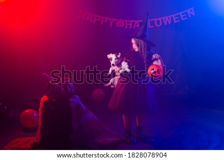 Funny child girl in witch costume for Halloween with pumpkin Jack and dog.