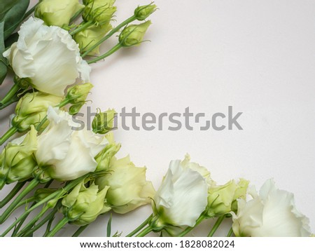 White Lisianthus on a light background, eustoma of a delicate color. Copy space.