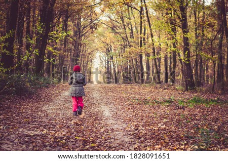 colorful autumn and little girl walking among trees in colorful season