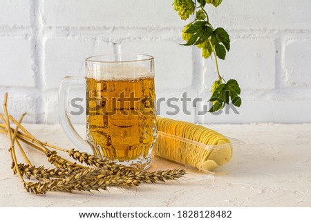 Glass mug of beer with potato chips, ears of barley and a hop branch on the white background.