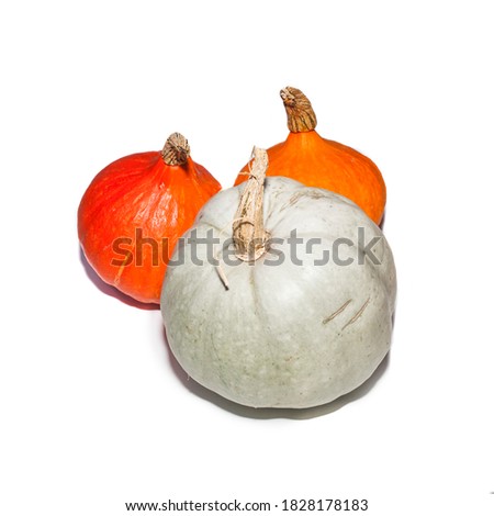 Three pumpkins isolated on white background. Food