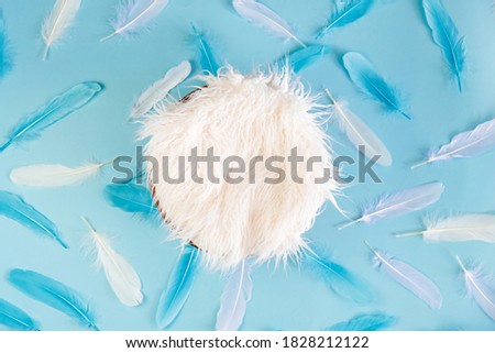 Newborn digital background with fur and feathers on blue backdrop.