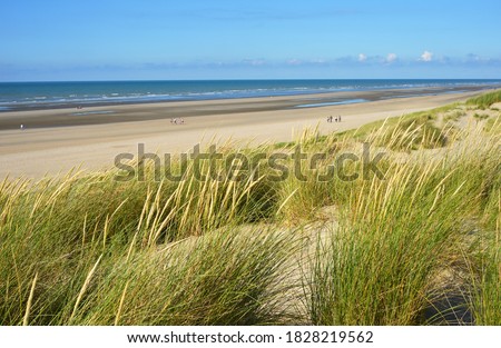 Atlantic ocean beach and Dune de Perroquet, in Bray Dunes, France Royalty-Free Stock Photo #1828219562