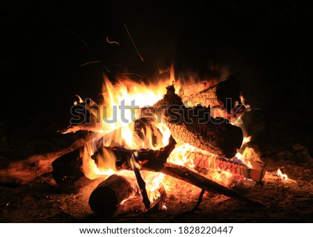 hot flames of campfire in darkness