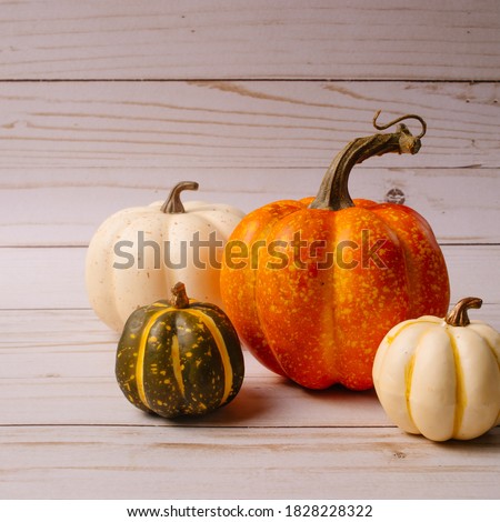 Square image of the harvest season. Pumpkins on the wooden background. Cozy fall backdrop. Trendy fall picture. Thanksgiving vibes.