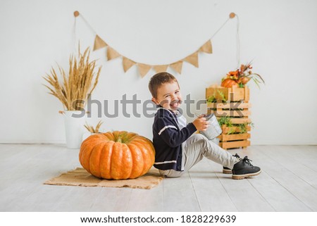 A little boy sits on the floor next to a large pumpkin. Children's photo zone in autumn style with pumpkins.