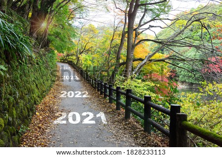 New year 2021 to 2024 on walkway in the mountain with maple trees, happy new year concept and natural background idea