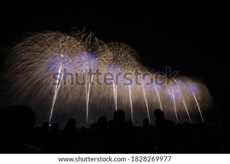 2017 Nagaoka Fireworks in nagaoka japan
