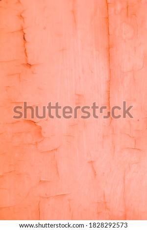 Painted wood, wall texture, abstract background, orange background, clay, vintage background, old wall, vintage, plaster, cement coating, colorful background, building structure, roughness, smoothness
