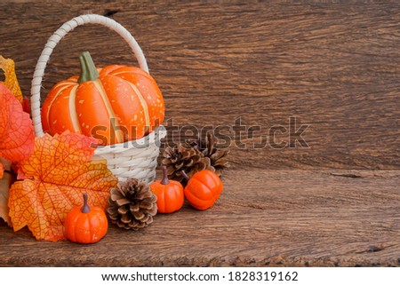 close up front view group of orange pumpkins with maple leaves lay on brown retro wood tabletop background for design in thanksgiving and halloween decoration collection concept