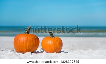 Autumn season composition. Pumpkin on the beach. Two pumpkins on sand beach shore. Concept for Thanksgiving or Halloween. On background ocean water. Autumn in Florida. Fall season. Tropical nature.