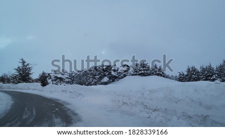 Winter season, empty road and trees covered by snow