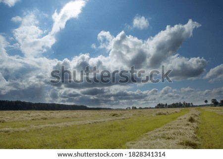 Bright blue sky and clouds of different shapes and colors. Downstairs is a field after harvesting wheat. In the woods. Landscape.