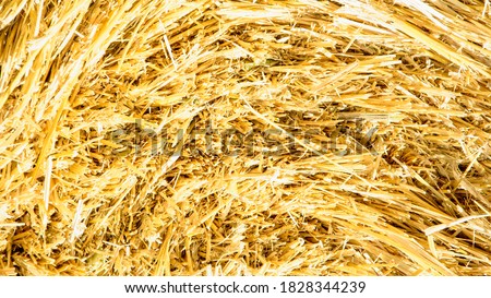 Design, banner, background, straw design, bamboo background, reed banner, installation, beautiful picture, straw, corn, bamboo, grass, dry hay, dry corn, yellow bamboo
