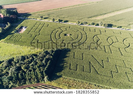 Corn maze photographed from the air