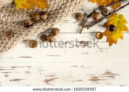Fall. Colored fallen leaves, acorns on a wooden white background, layout, copy space