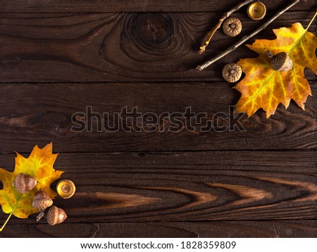 Fall. Colored fallen leaves, acorns on a wooden brown background, layout, copy space