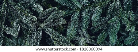 Christmas and New year web banner with fir branches. Flat lay, top view, copy space.