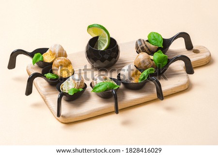Burgundy Escargot Snails with garlic herbs butter on camel color  background