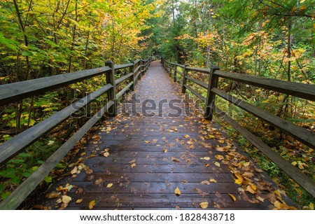 Wooden boardwalk through Michigan autumn forest on the North Country Trail in Tahquamenon Falls State Park Royalty-Free Stock Photo #1828438718