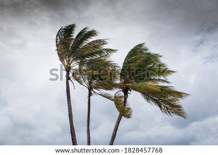 Hurricane Delta tearing up the coastline of Grand Cayman  Royalty-Free Stock Photo #1828457768