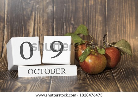 October 9. Day 09 of month. Calendar cube on wooden background with red apples, concept of business and an important event. Autumn season.