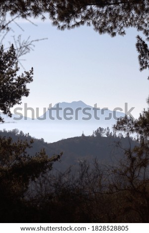 Landscape of blue mountains with natural frame formed by branches and framed trees