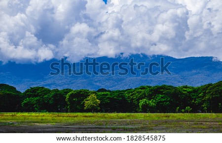 Beautiful landscapes park. Big trees, green grass and beautiful blue sky with cloud in rainy season, Thailand.