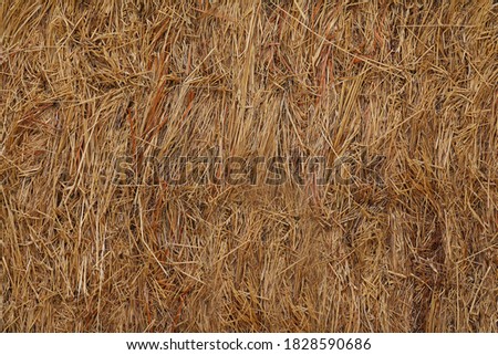 Hay Bale Texture Background, Rustic County Living, Outdoor Nature