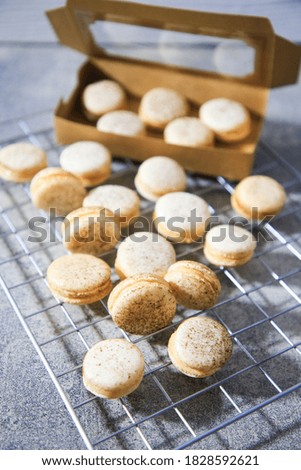 Lots of macarons placed on a plain background.