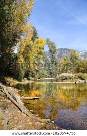 A vertical picture of beautiful autumn view of scenic Merced River with a lakeside forest in Yosemite National Park