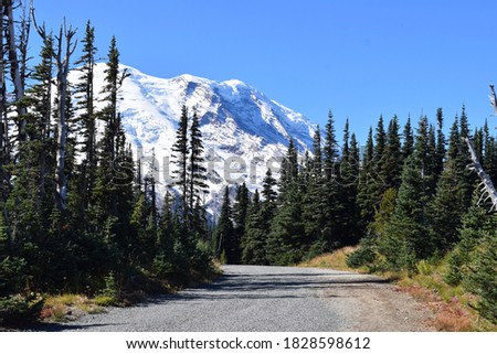 Dirt road to Mount Rainier. Volcano. Mountain road. Forest. Giant snowy Mountain