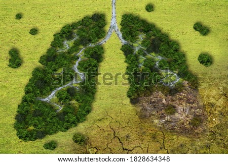 Forest in a shape of lungs - deforestation and global warming concept Royalty-Free Stock Photo #1828634348