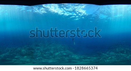 Beautiful underwater photo captured with a 360 VR style camera and underwater housing. Located in Hawaii, black lava rock with coral, a vast view of dreamy filtered light with fish, diver, and sealife